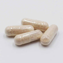 画像をギャラリービューアに読み込む, パフォーマンスアップ 120粒入