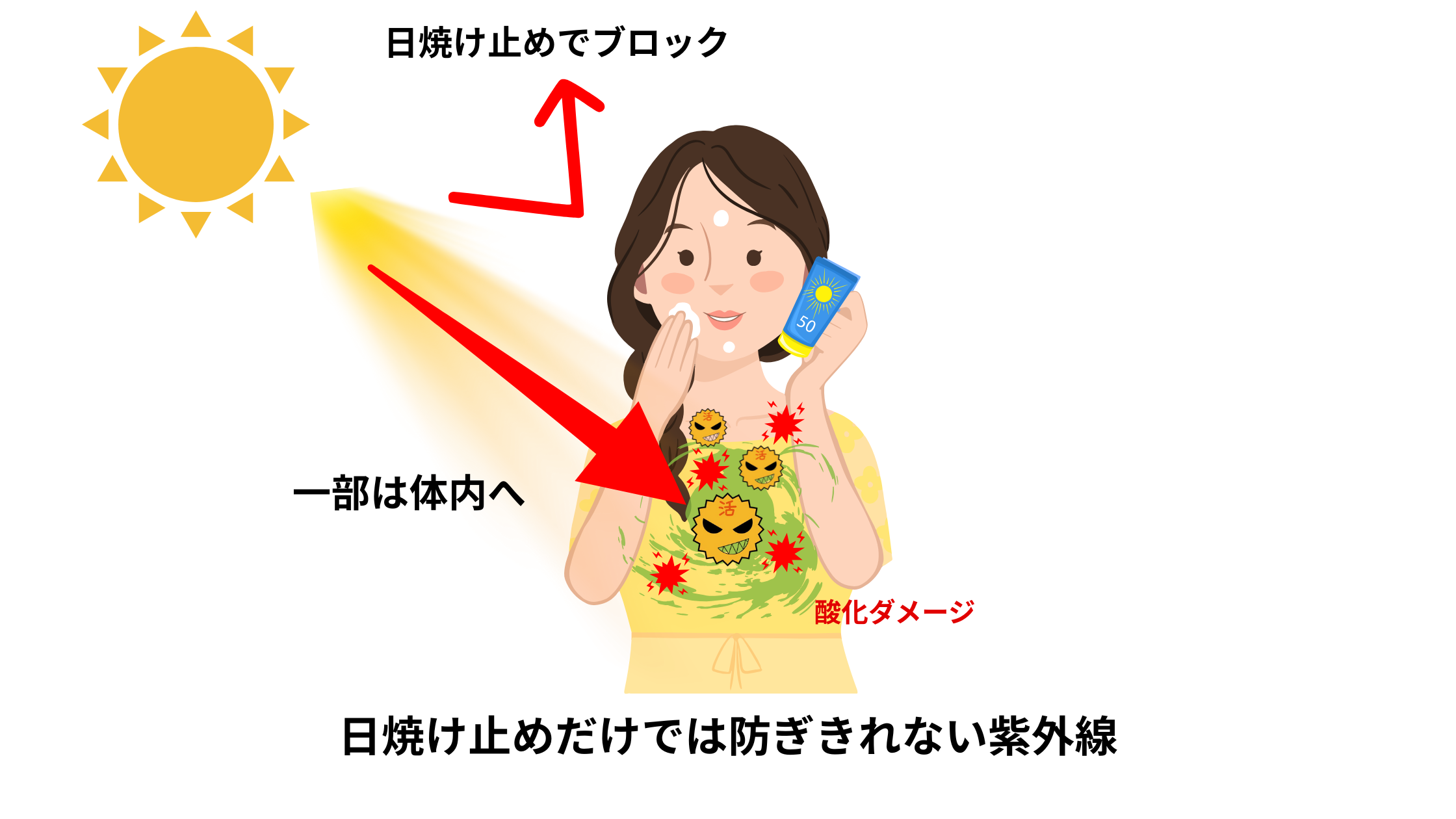 紫外線対策は日焼け止めだけじゃ足りない ― 細胞を守る“内側ケア”の重要性
