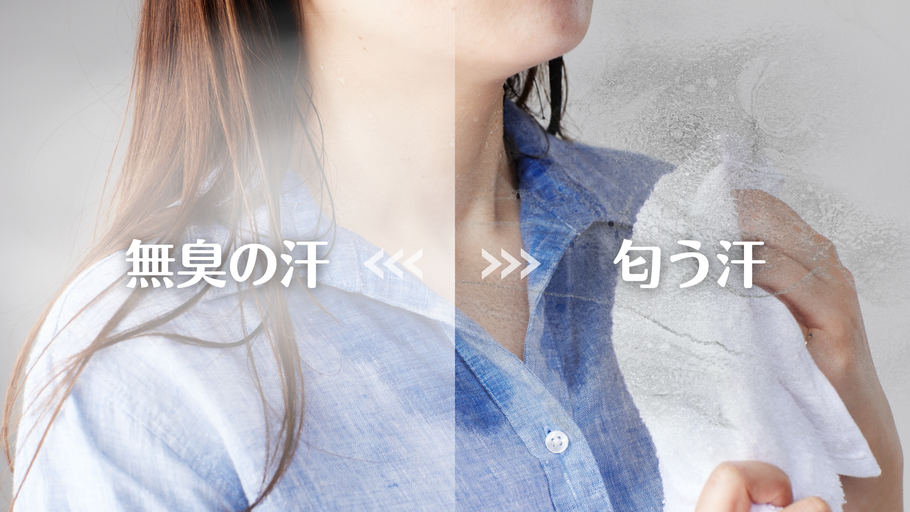 汗の匂いは体の内側から変えられる