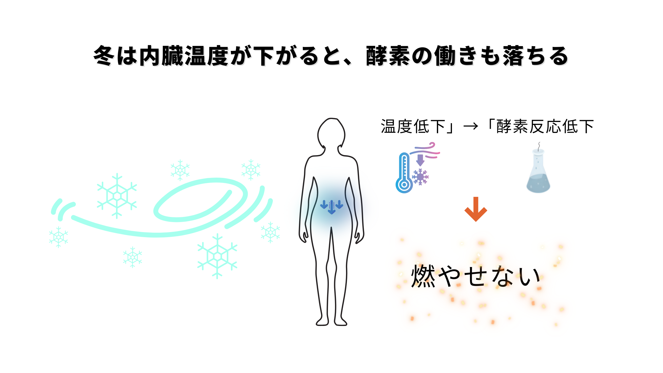 冬の吸収力を底上げする方法